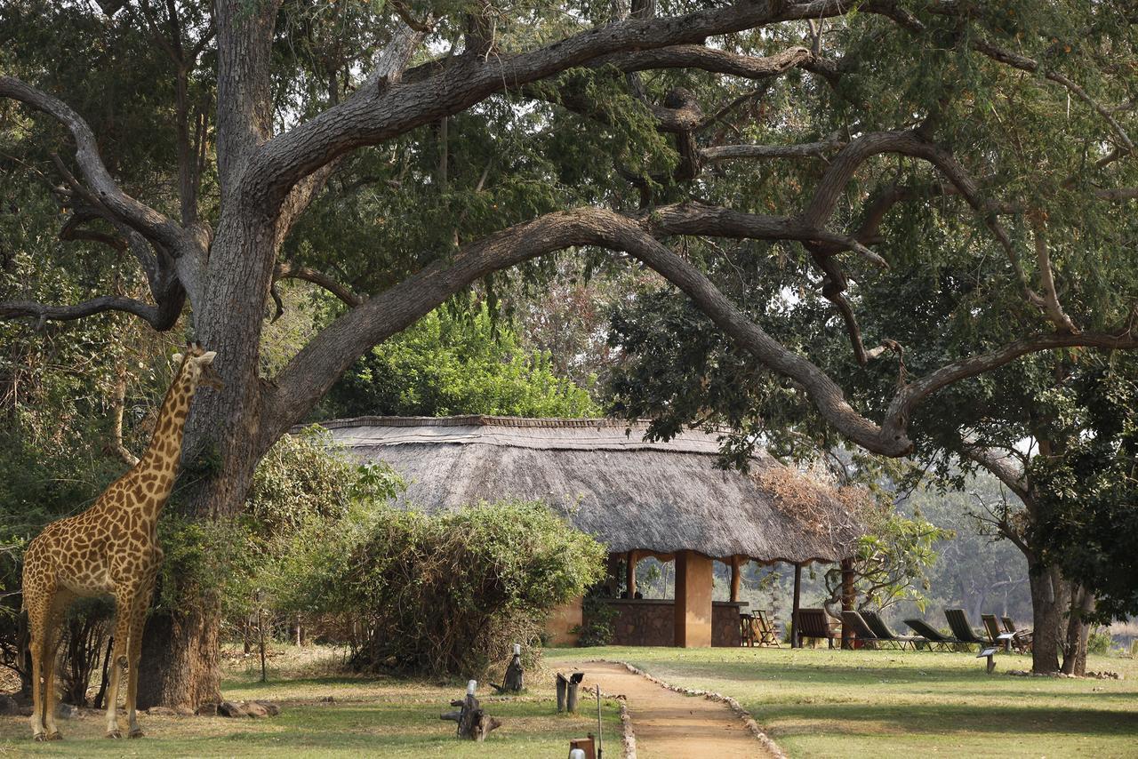 Track And Trail River Camp Kakumbi Buitenkant foto