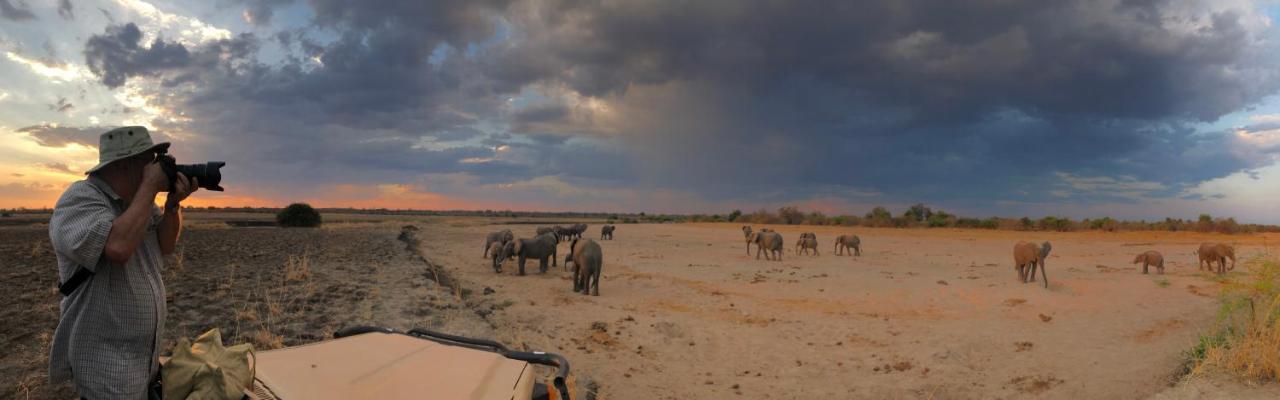 Track And Trail River Camp Kakumbi Buitenkant foto