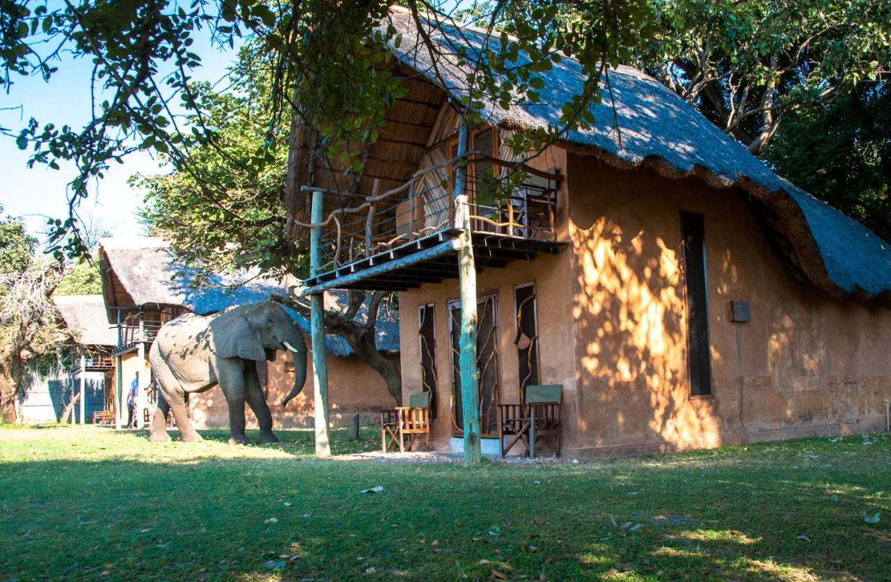 Track And Trail River Camp Kakumbi Buitenkant foto